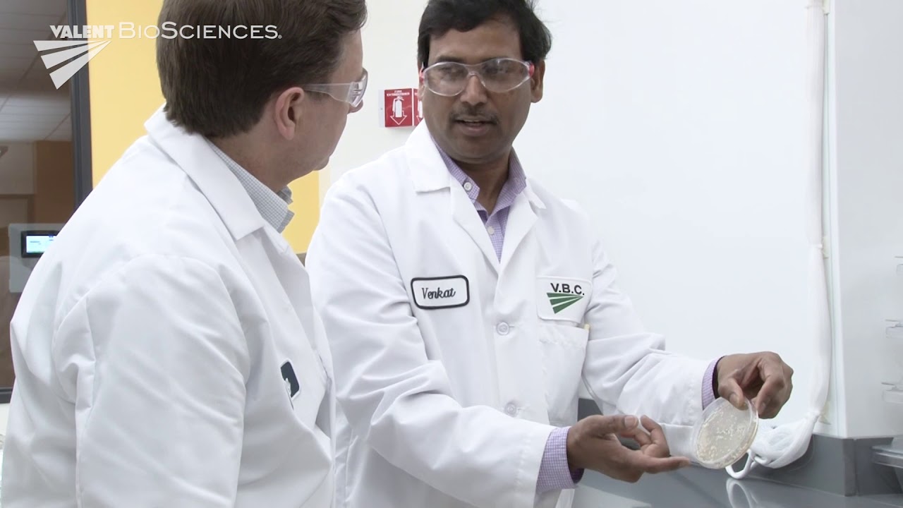 Valent BioSciences' Biorational Research Center Overview