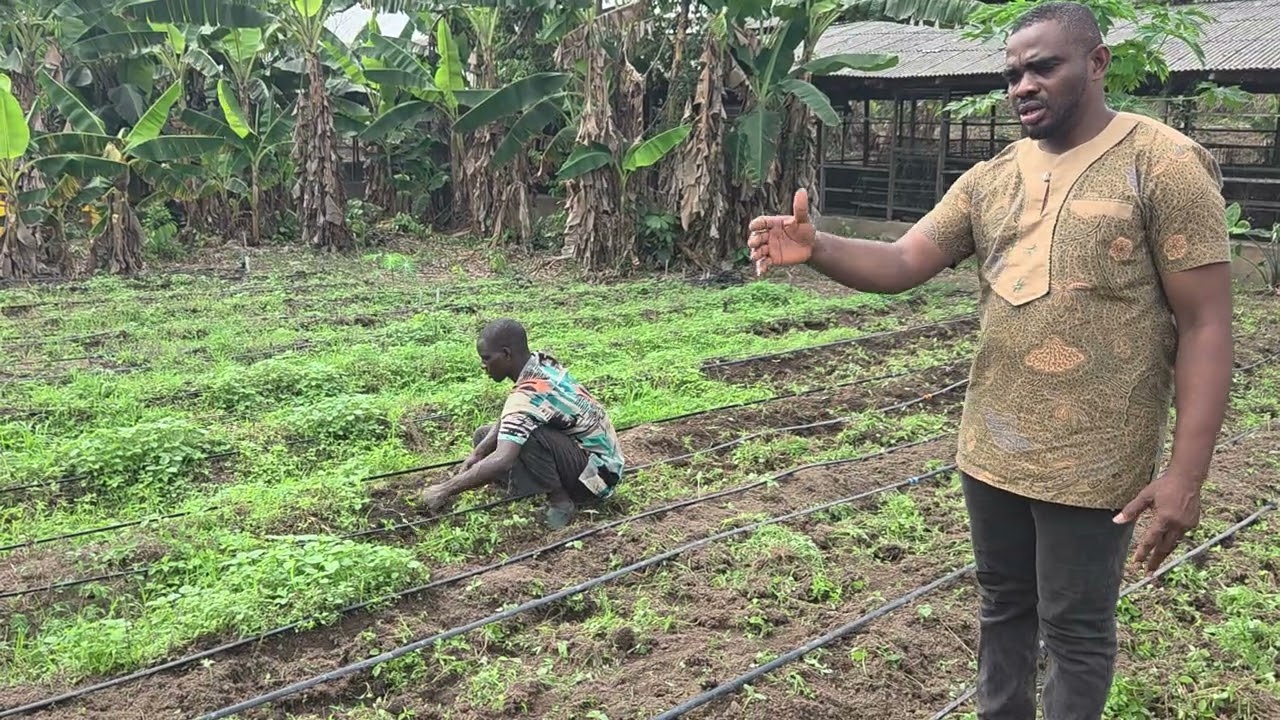 Introduction to Farming