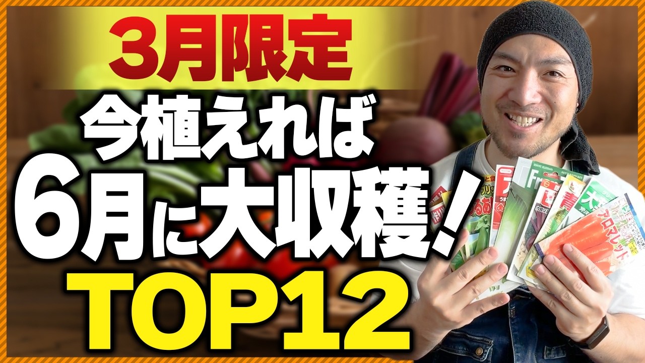 【初心者必見‼︎】3月に植えれば6月に大収穫！初心者でも育てられるオススメ野菜12選