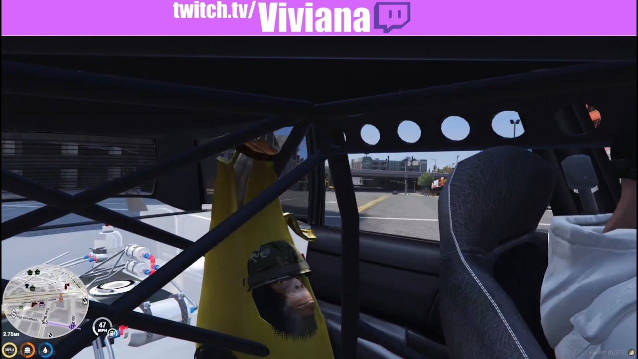 Tommy T & Lana Valentine make a new monkey friend | NoPixel GTA ROLEPLAY