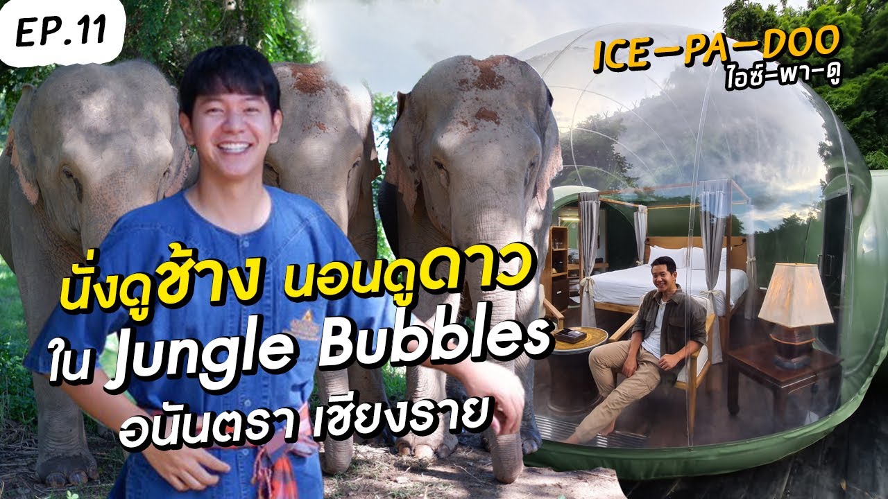 นั่งดูช้าง นอนดูดาว ใน Jungle Bubbles อนันตรา เชียงราย | EP.11 ICE-PA-DOO #ไอซ์พาดู