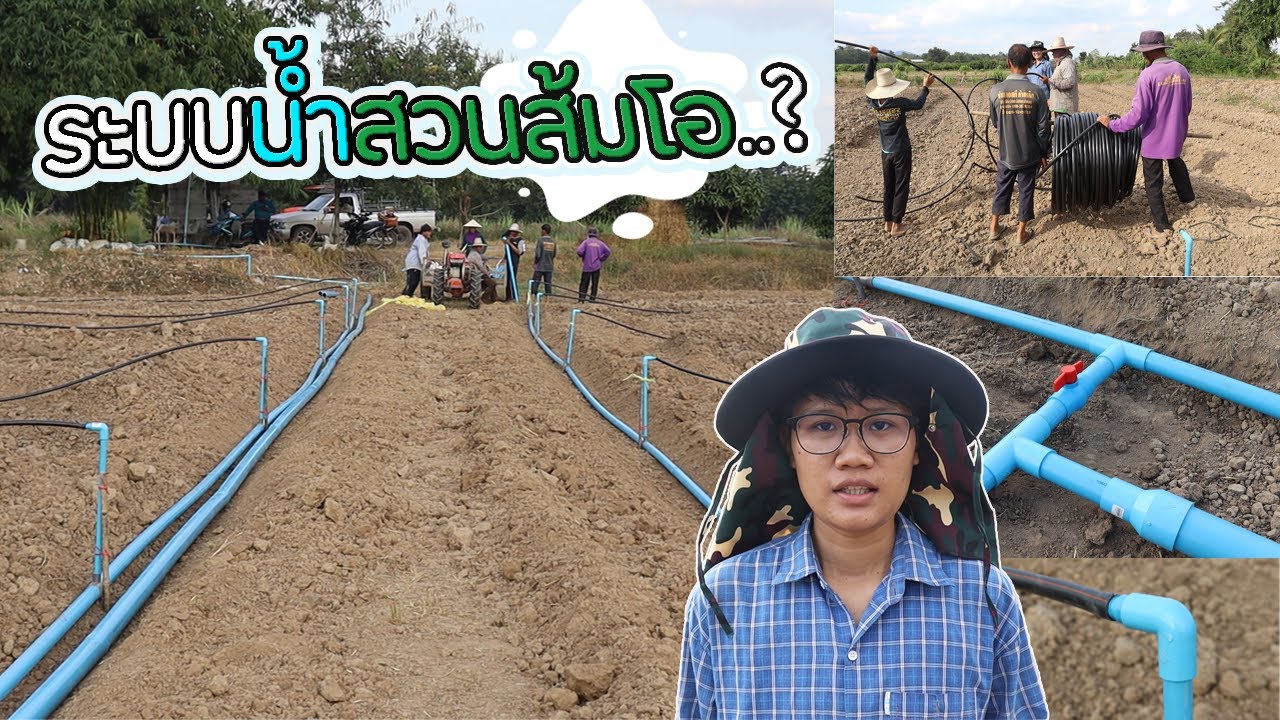 วางระบบน้ำสวนส้มโอ ให้น้ำออกเสมอต้น-ปลาย I สวนส้มโอ ep.1