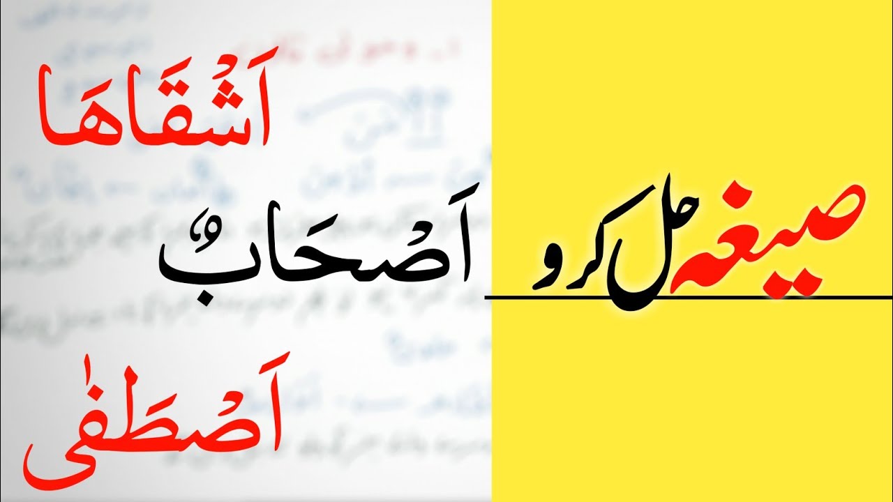یہ صیغے حل کرنے میں غلطی مت کرنا | Deen Seekho | Learn arabic words in detail
