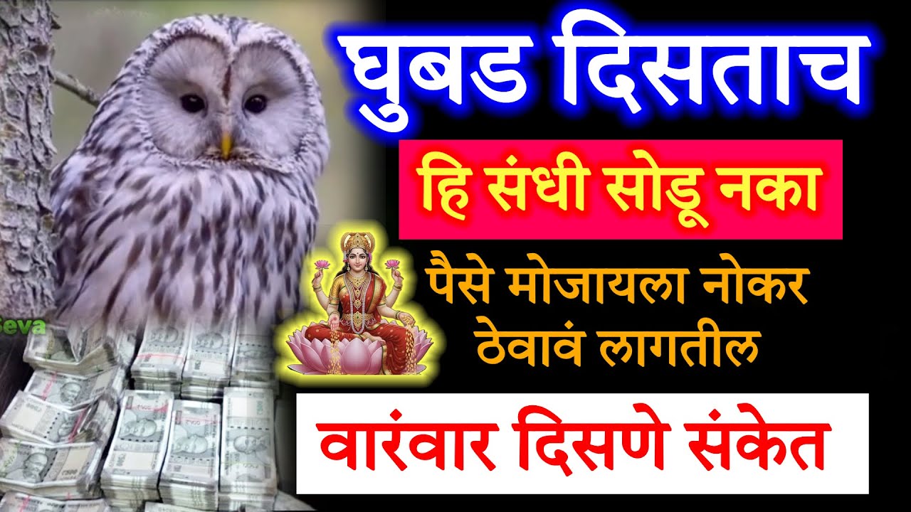 घुबड दिसताच हे करा 💸 घुबडाचे संकेत बनवतील💰लखपती.?🦉वारंवार दिसणे पुढे घालणारी हि घटना..