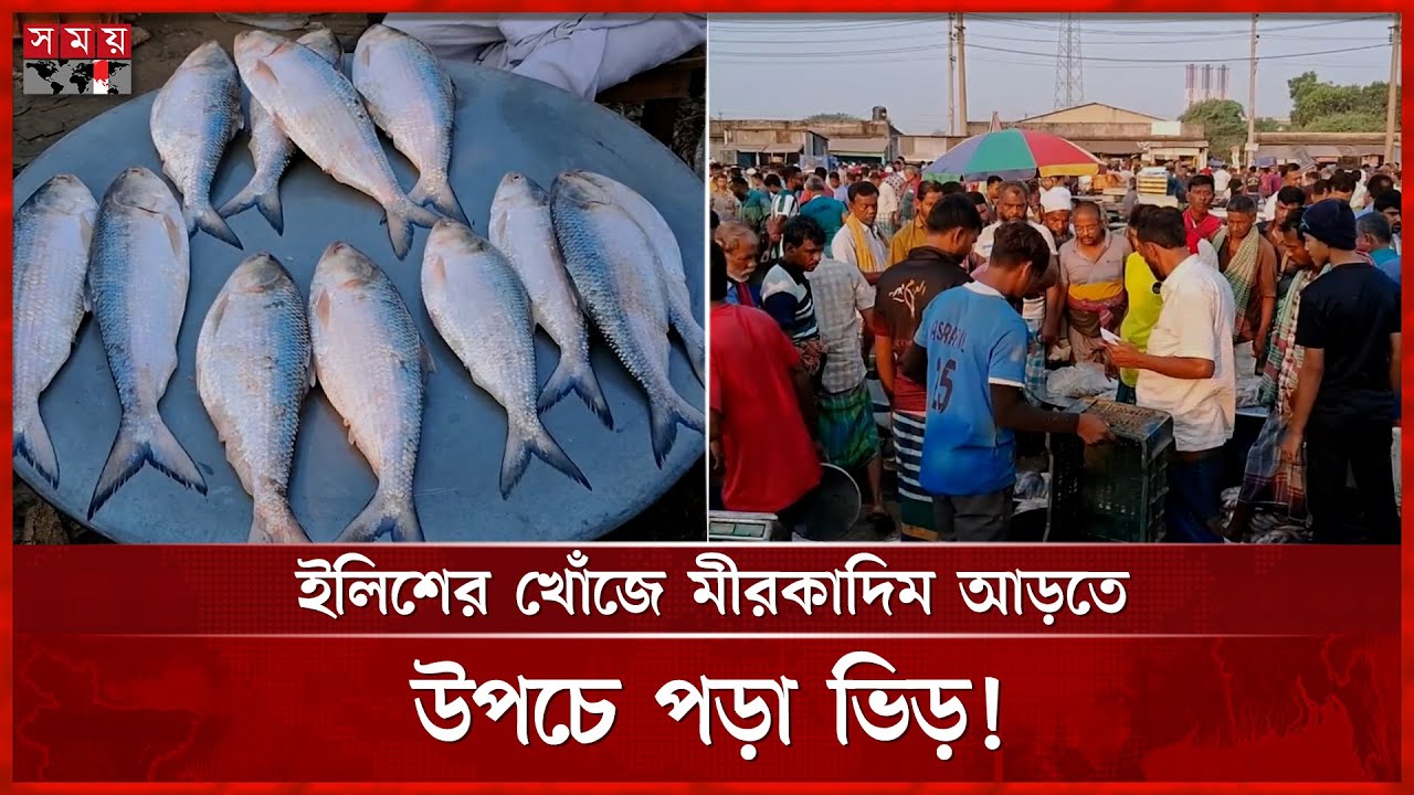 হেমন্তের শিশিরভেজা সকালে রূপালি ইলিশের ঝিলিক | Fish Market in Munshiganj | Hilsha Fish | Somoy TV