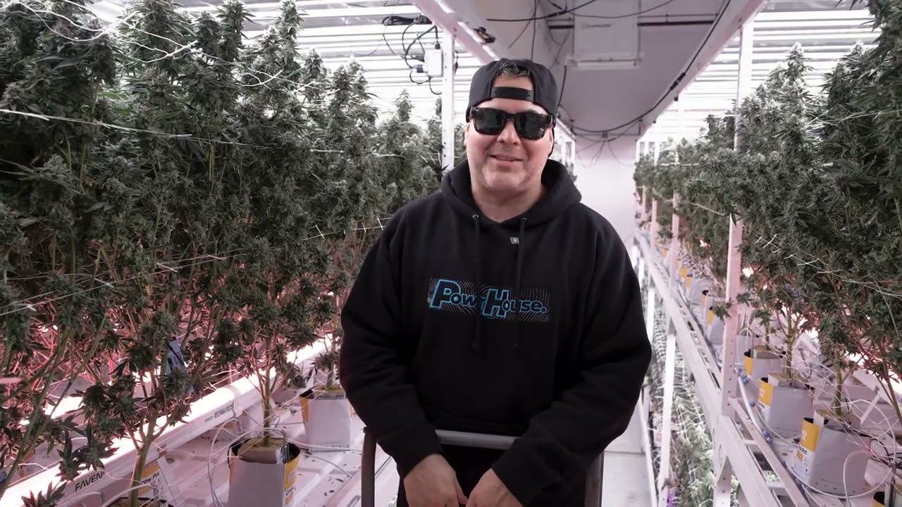 Grower Spotlight: Running Matrix M6 645W LED Grow Light in a Professional Grow