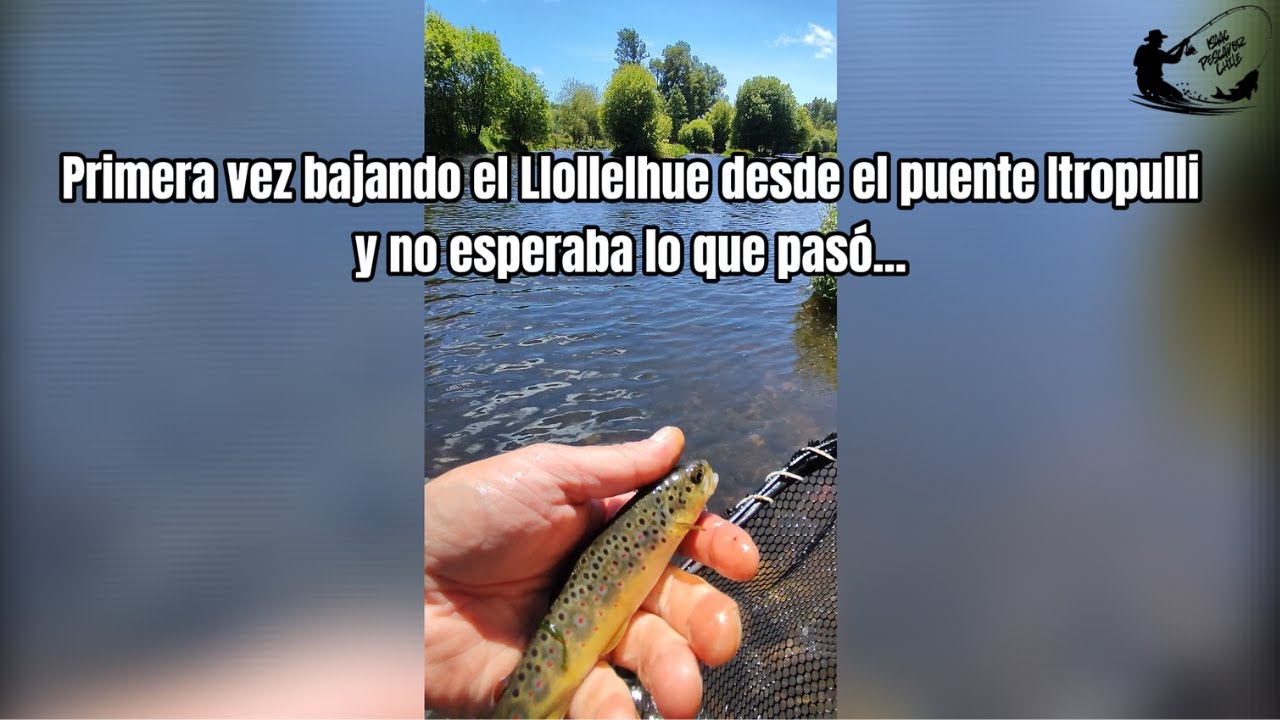 Descubriendo el Llollelhue río arriba | Belleza salvaje y truchas