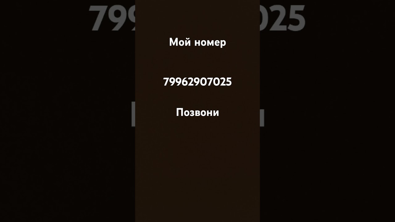 26 июля 2024 г.