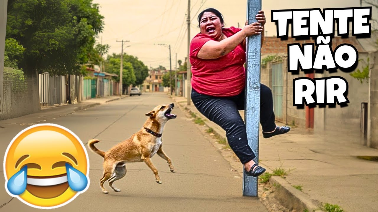 TENTE NÃO RIR: OS MAIS ENGRAÇADOS DE JULHO - VALE A PENA RIR DE NOVO