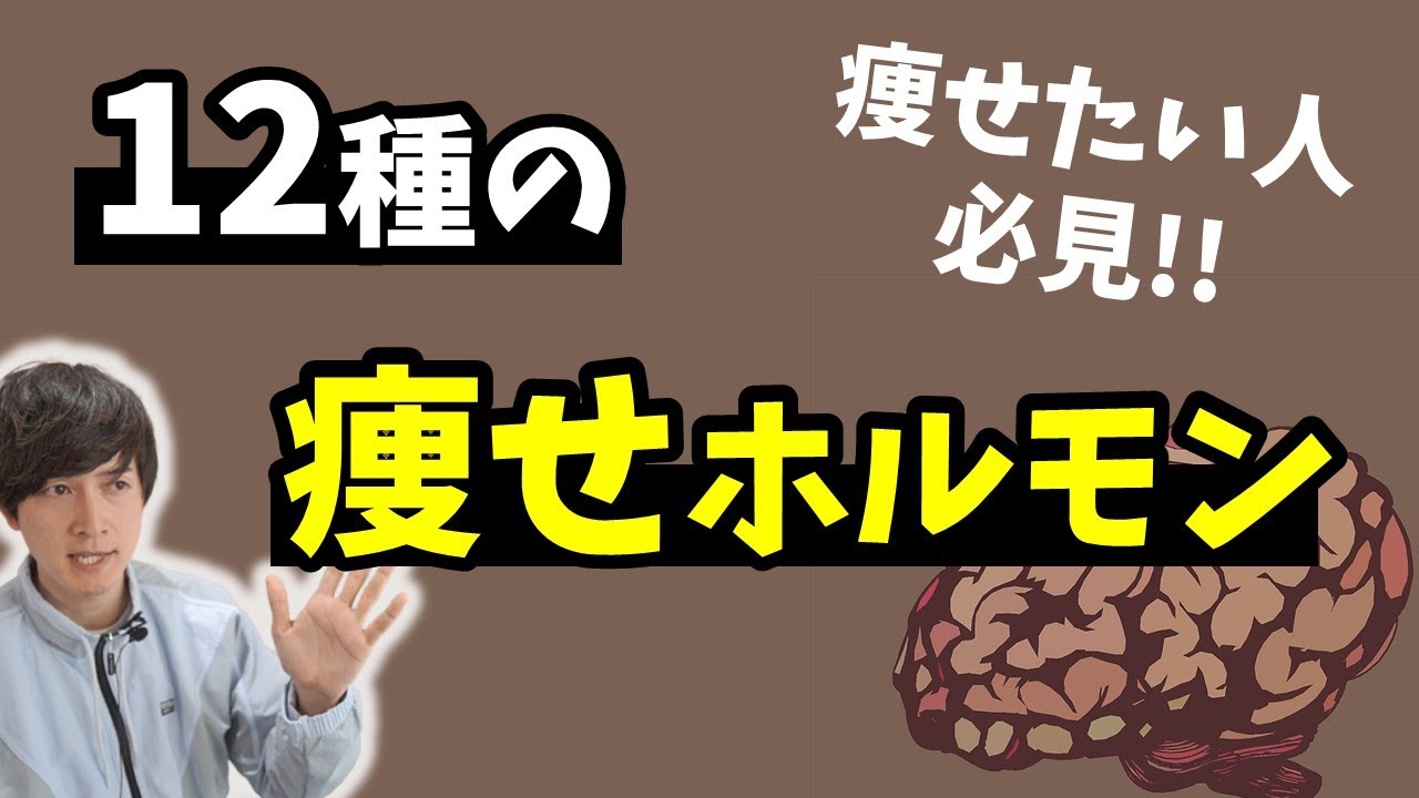 ダイエットしている人が知っておくべきホルモン12選