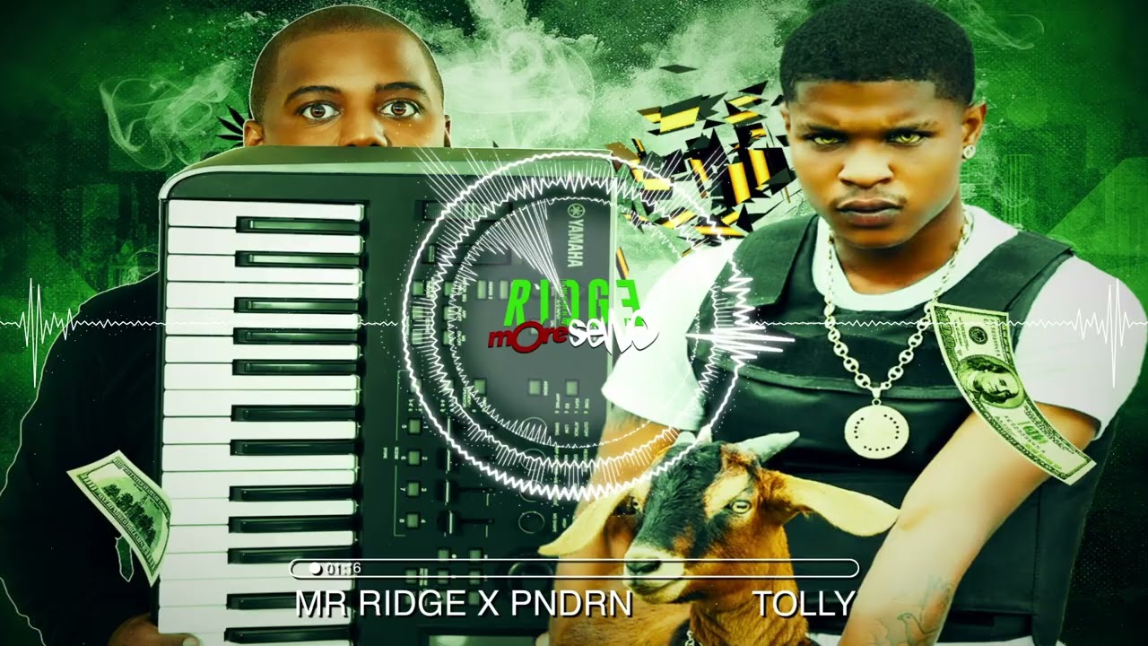 Mr Ridge X PNDRN feat. Killy Killy - Tolly (Funny Riddim)