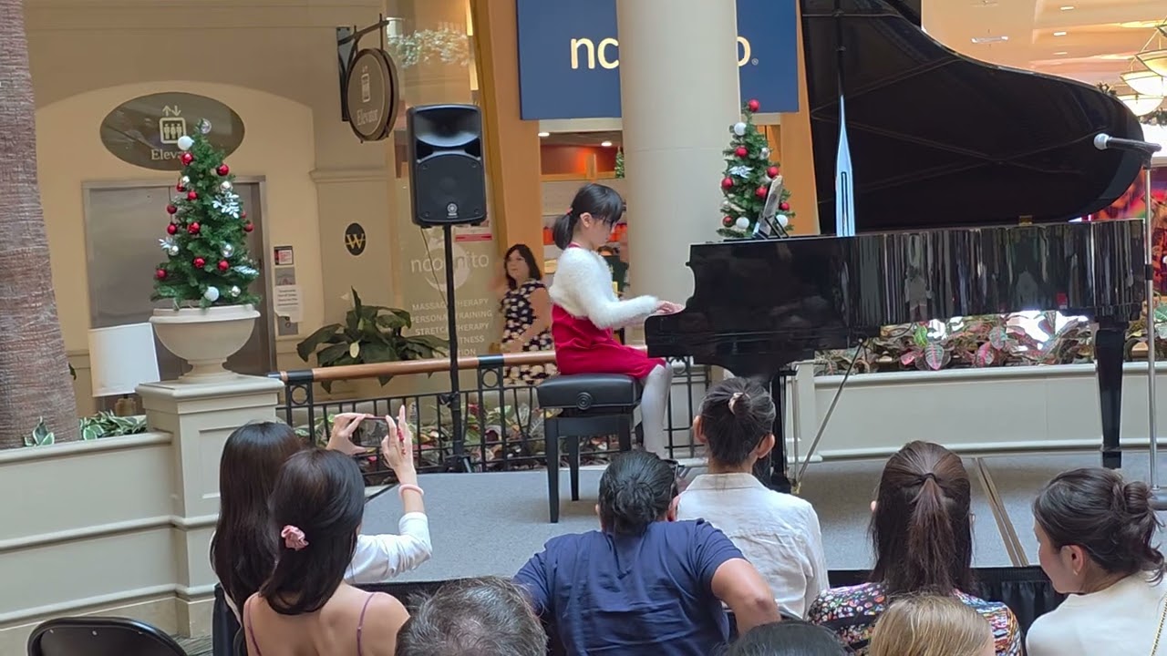piano performance in Wellington mall