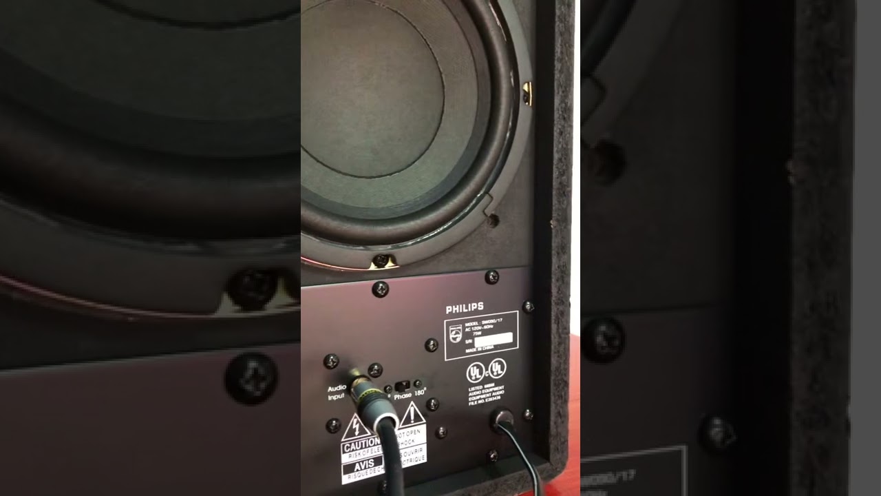 Subwoofer activo Philips sw-090