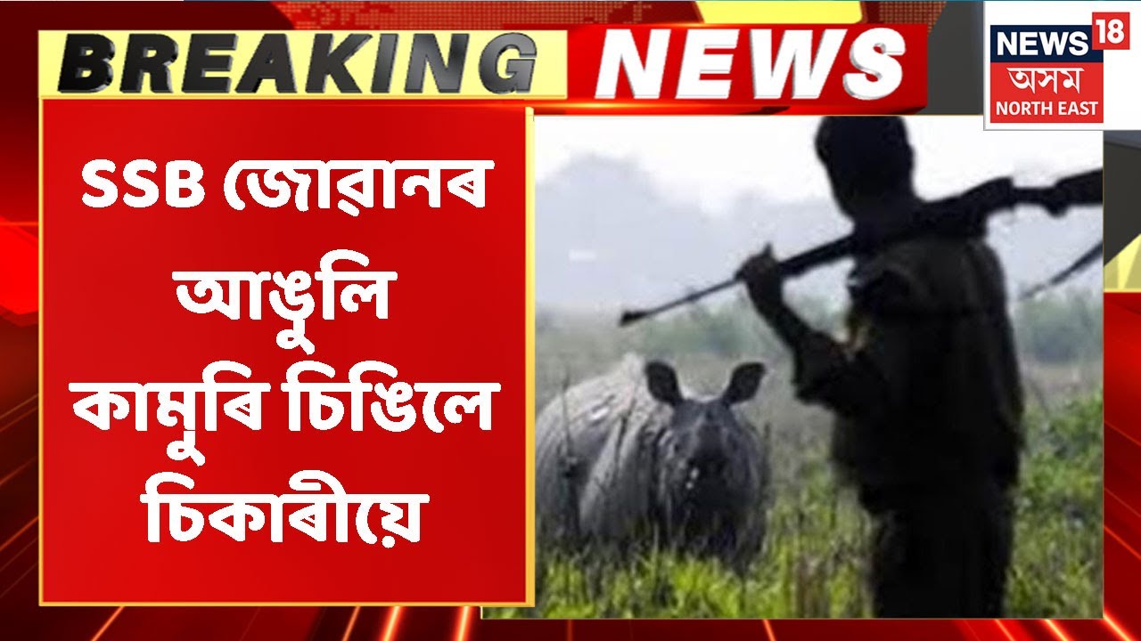 Chirang News | চোৰাং চিকাৰীৰ কামুৰত চিগিল SSB জোৱানৰ আঙুলি