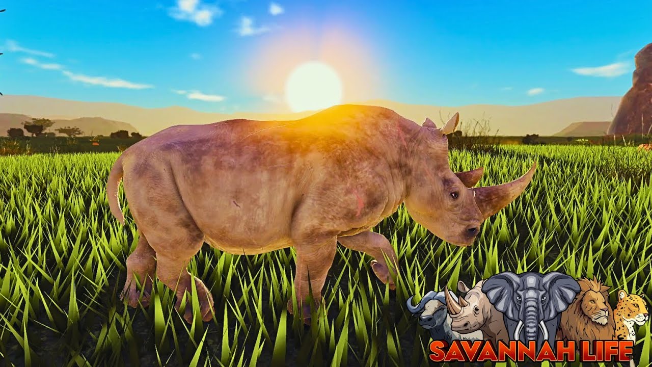 Can a Rhino Survive the Wild Savanna?