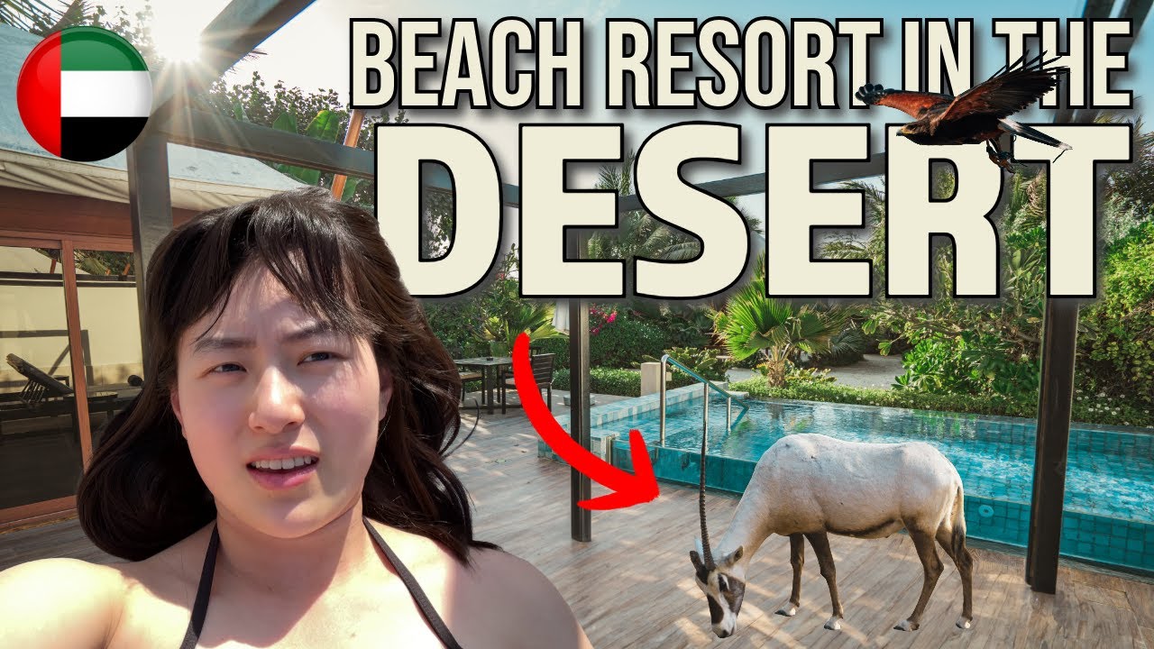 The MALDIVES of the UAE? (Ritz Carlton Al Hamra Beach Review)