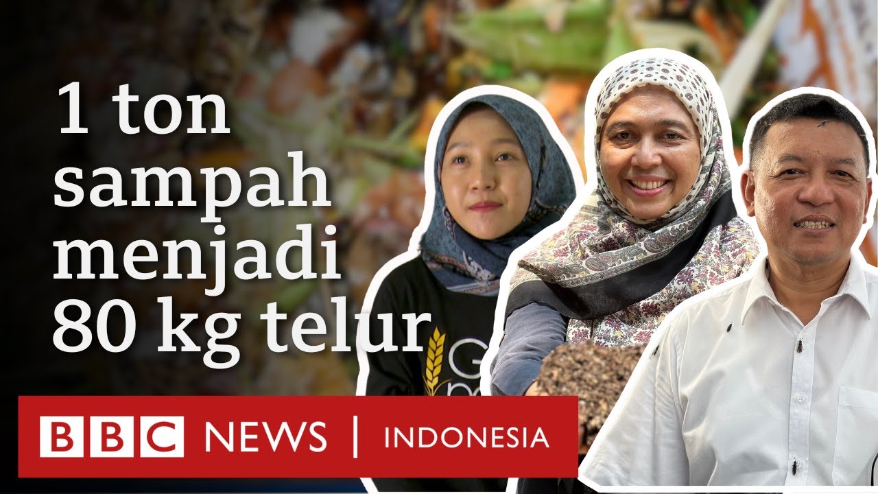World Food Day: 'Dari mubazir jadi cuan' karena selamatkan sampah sisa makanan - BBC News Indonesia