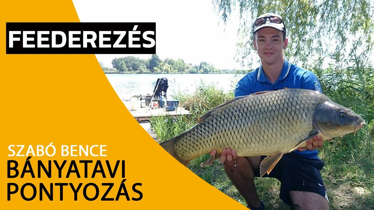 Bányatavi pontyozás