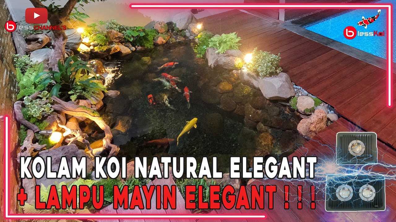 KOLAM KOI NATURAL ELEGANT + LAMPU MAYIN ELEGANT❗❗❗