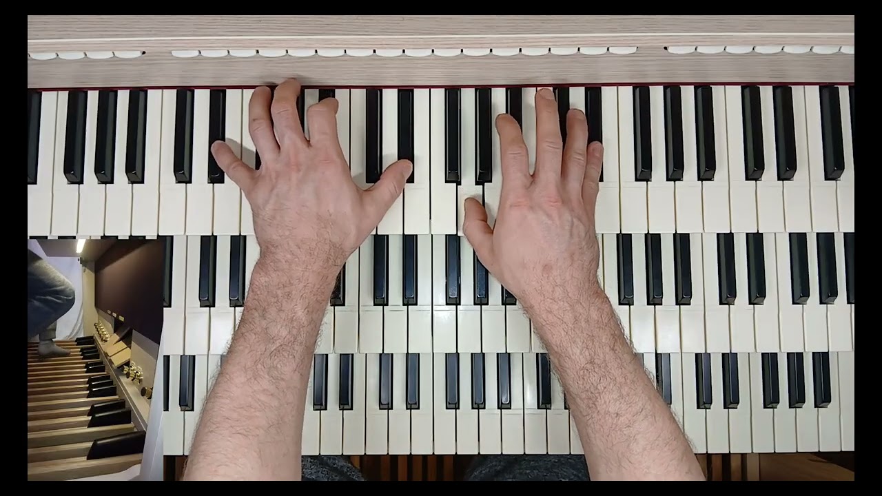Suite Gothique, Op.25 (Léon Boëllmann): 1. Introduction - Choral (C minor) / played by Jernej Vitez