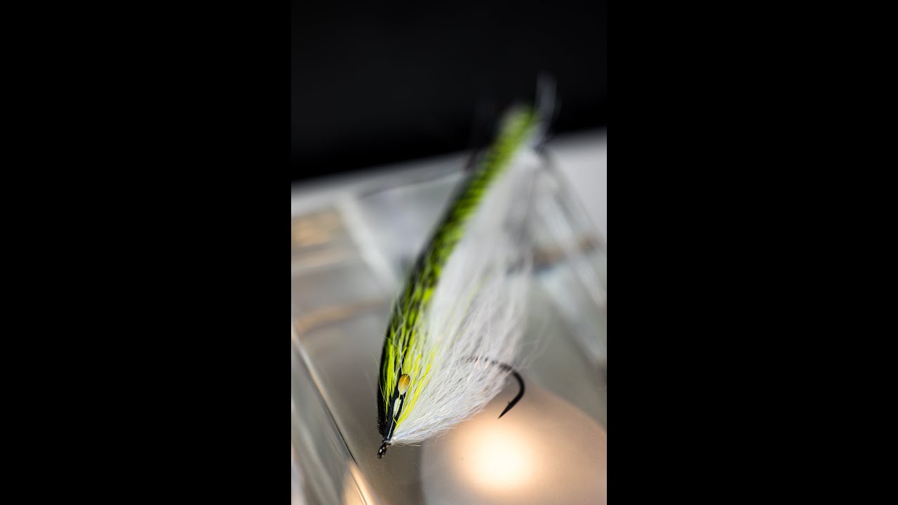 Feather back Hollow fly.