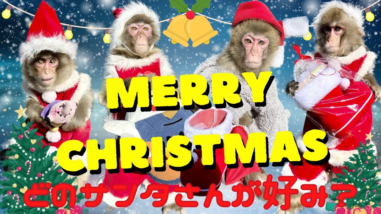 再　メリークリスマス🎄✨ merry x‘mas🎄✨素敵なクリスマスを　ぶうちゃんやはしらくん、りん姐さんも🥹皆さんはどのサンタさんが好み！？