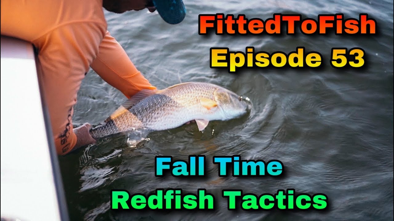 How To Catch Big Redfish In The Fall