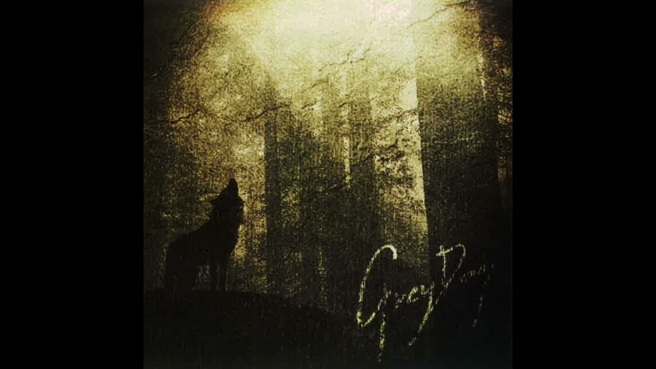 Lie to me - Grey Dog