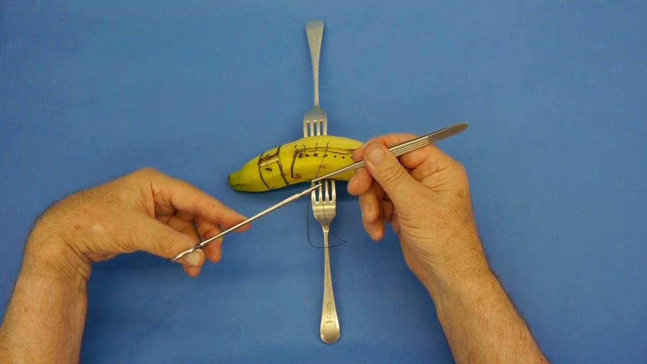 Continuous Locking Suture Left Handed - Surgical Techniques - Implantology