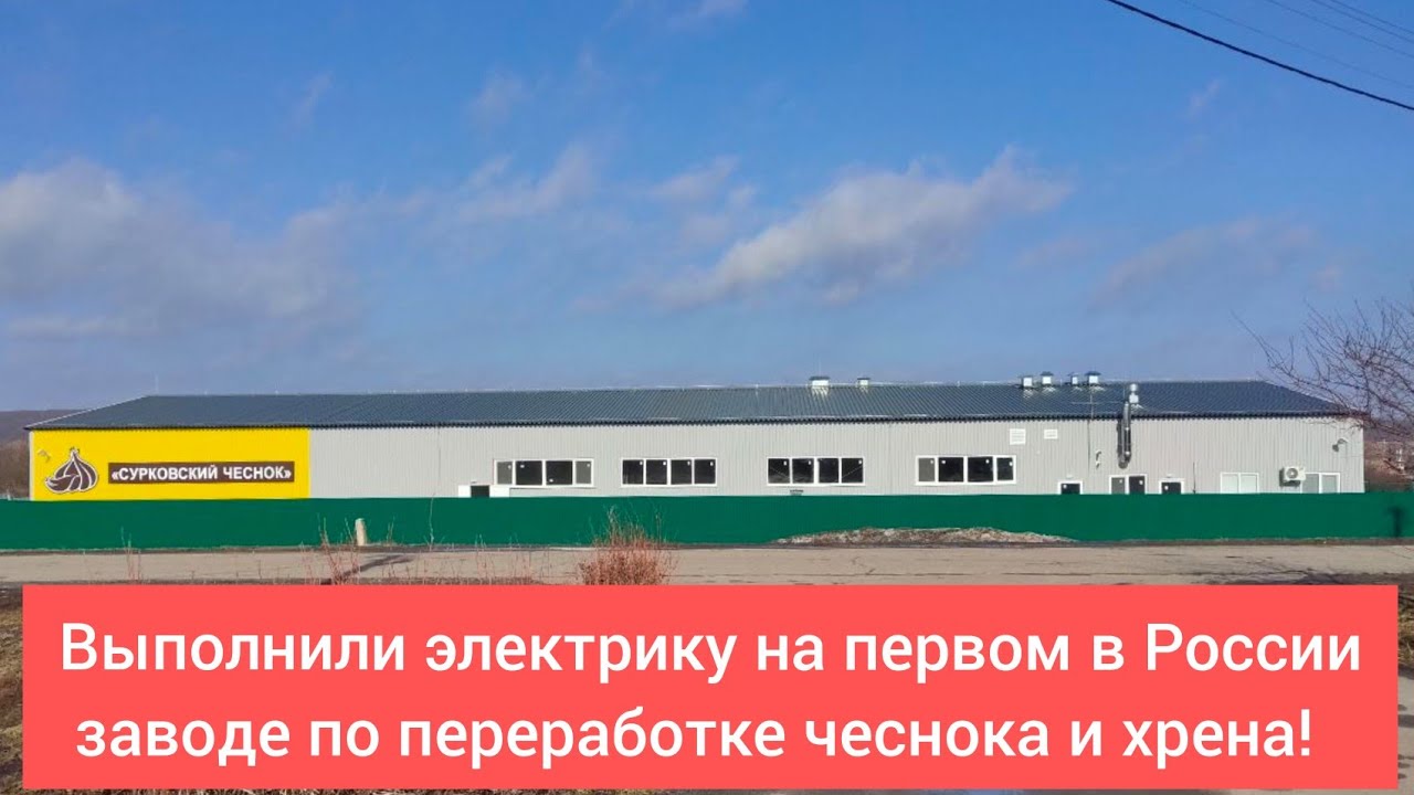 Обзор завода по переработке хрена и чеснока .