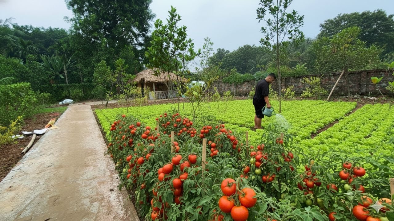 CEO Leaves the City to Build a Quiet Organic Farm | Daily Garden Routine