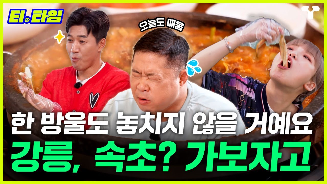 [#토밥좋아] 바다에 취하고 음식에 취하는 강릉, 속초! 오늘도 혼자 매워하는 히포🦛ㅣEP.78 하이라이트ㅣ #T타임