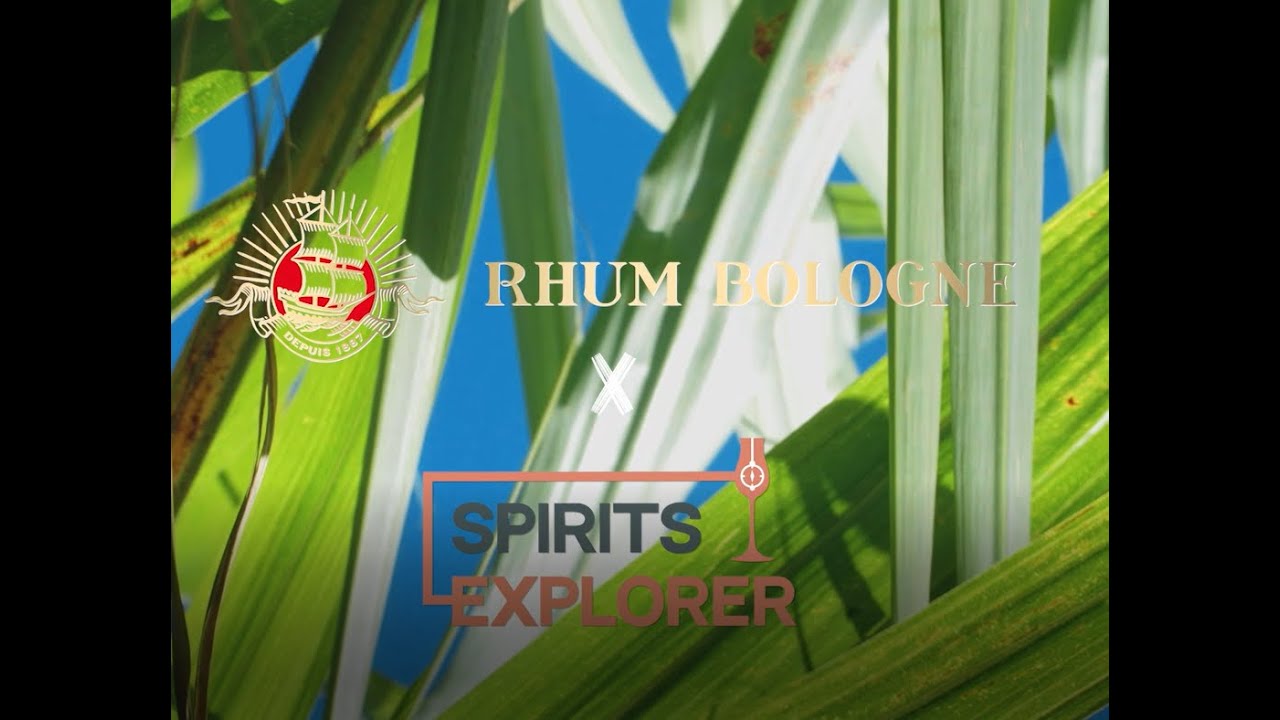 BOLOGNE SPIRITS EXPLORER