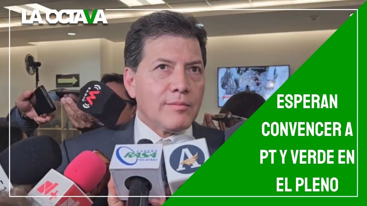 REFORMA ELECTORAL será DISCUTIDA en COMISIONES y el PLENO de SAN LÁZARO: LOBO