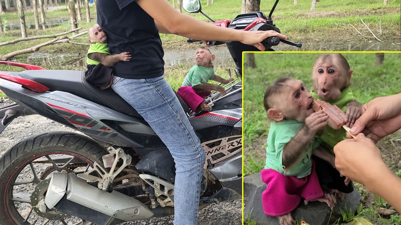 Mimi Kuku ran after Mom to buy ice cream