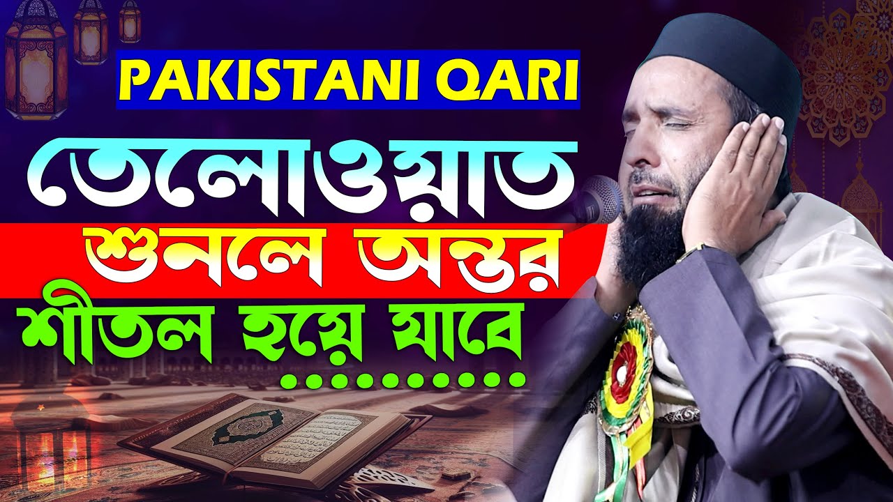 মন খারাফ থাকলে এই তেলাওয়াতটি শুনুন | Best Quran recitation | Qari Hammad Anwar Nafeesi Pakistan
