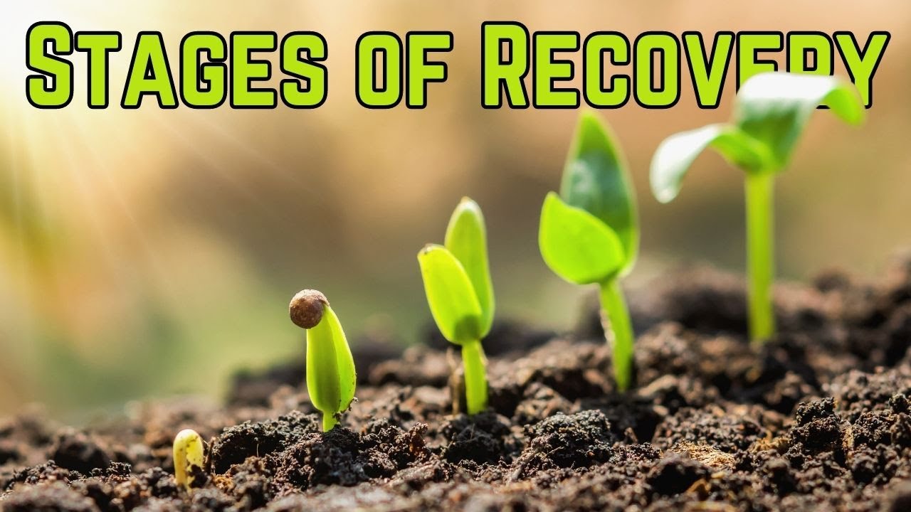 The 3 stages of Recovery from Chronic Fatigue Syndrome