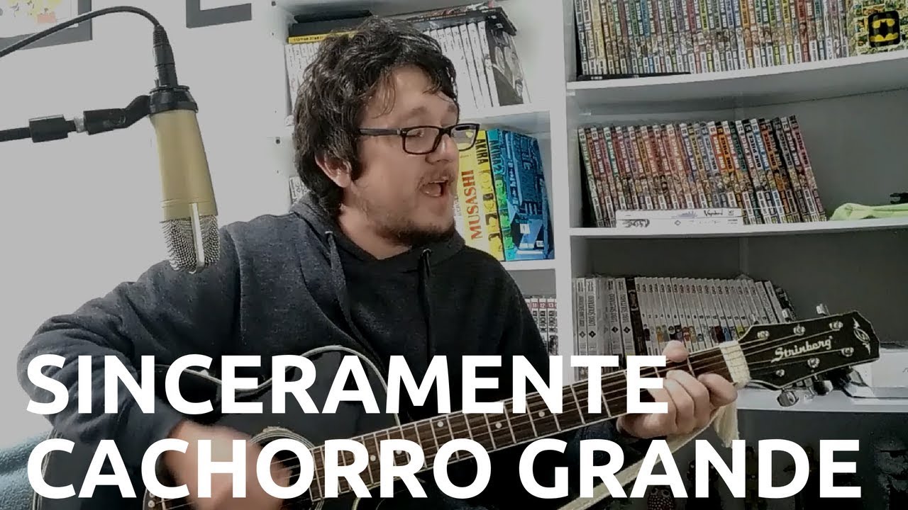 Cachorro Grande - Sinceramente (cover)