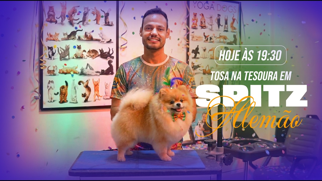 SPITZ ALEMÃO | Tosa na TESOURA