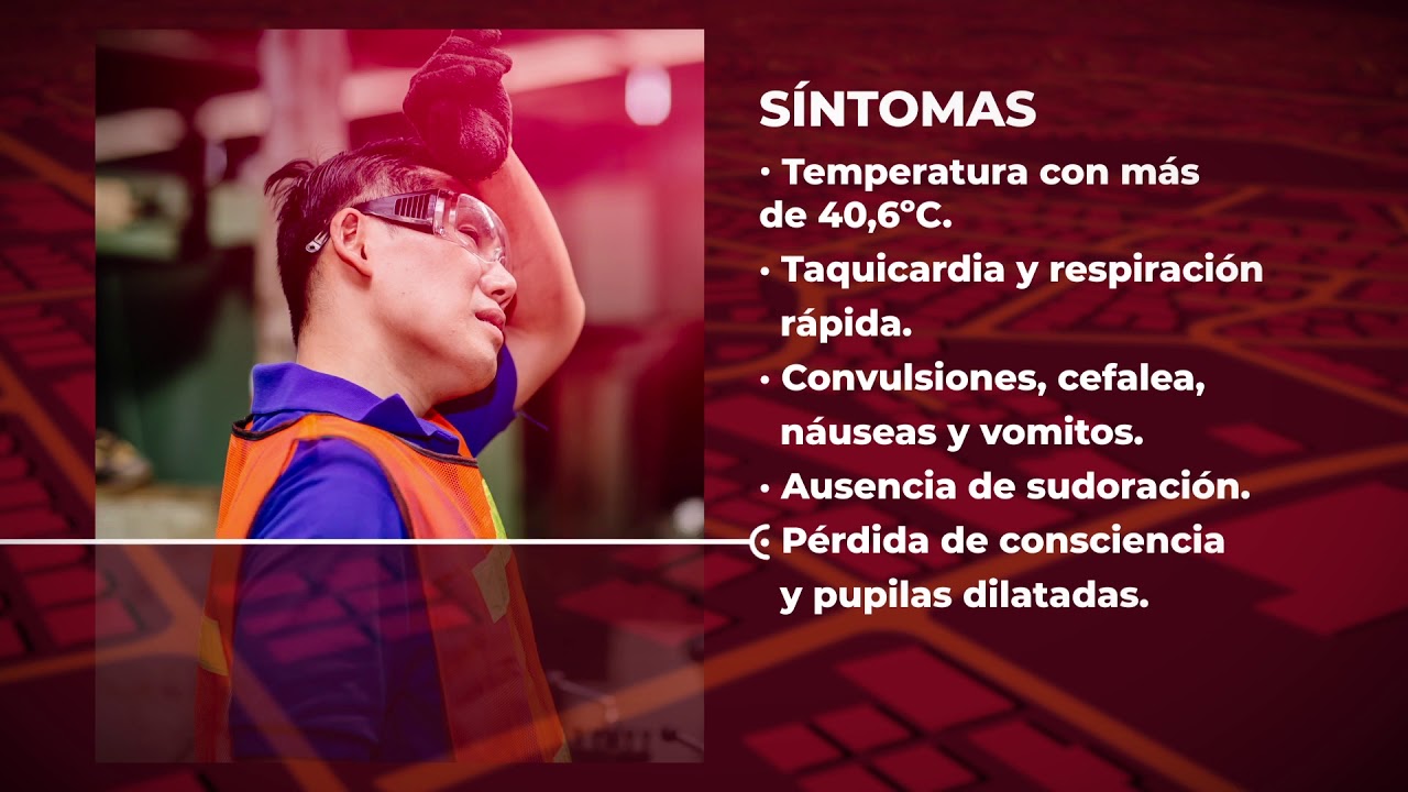 GUIA ESTR&Eacute;S T&Eacute;RMICO