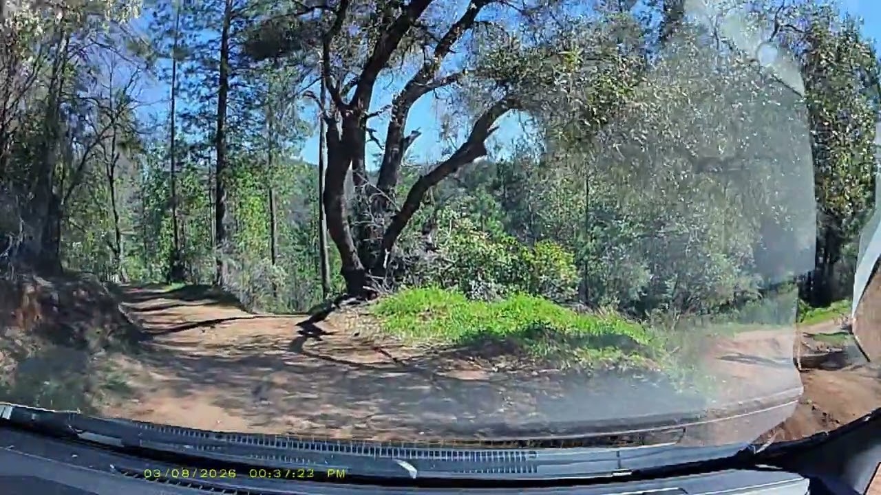 Honda fit off roading