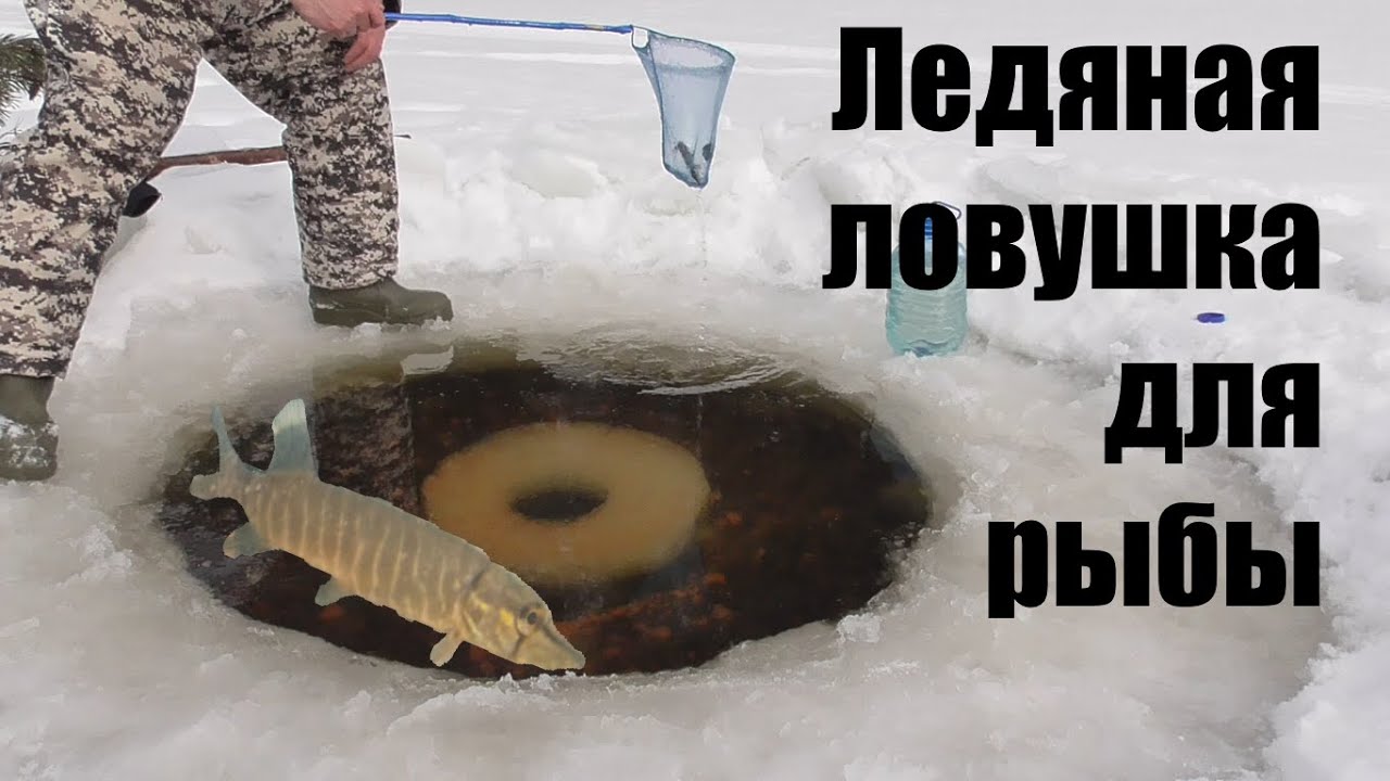 Зимняя рыбалка на озере. Замор. Ледяная ловушка. 