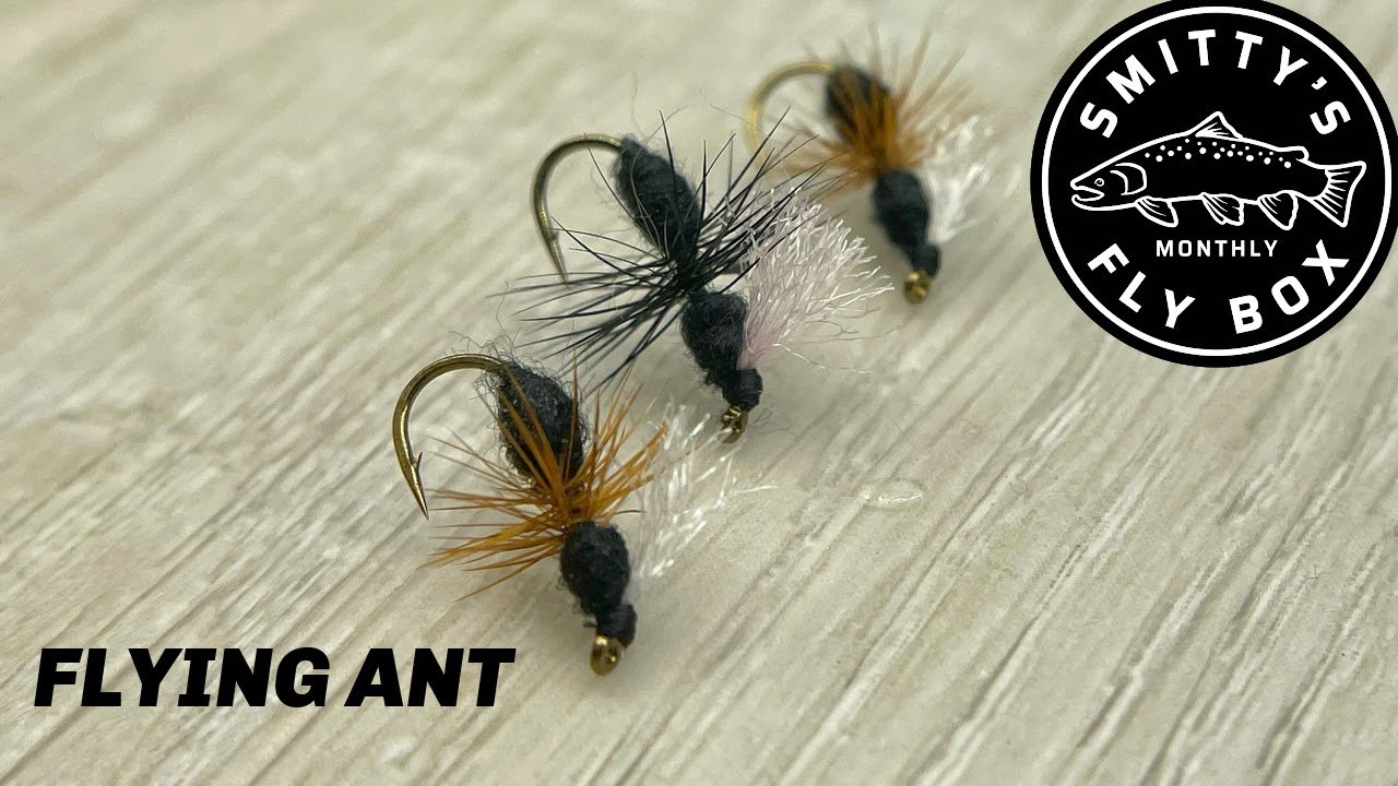 Flying Ant