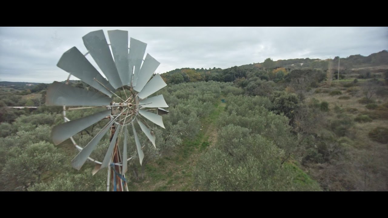 Cinematic and closing shots in countryside with the Mistral Steadywhoop and the DJI Pocket 2