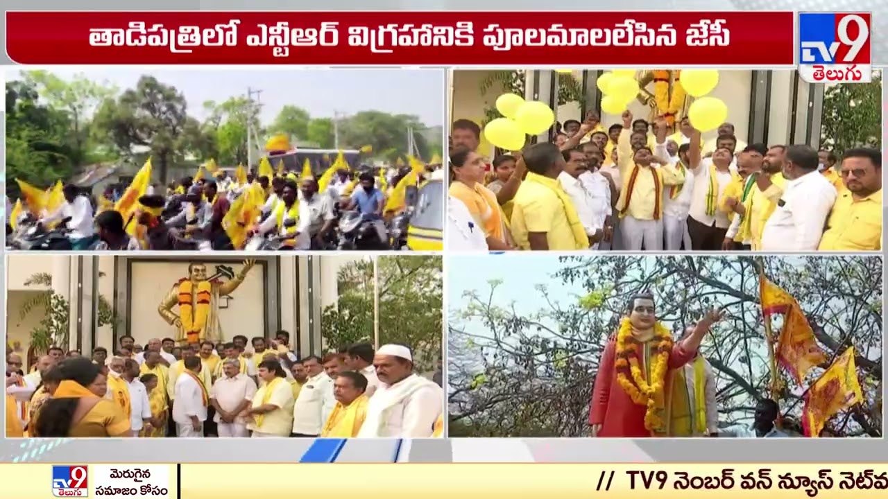 TDP Formation Day Celebrations in AP - TV9