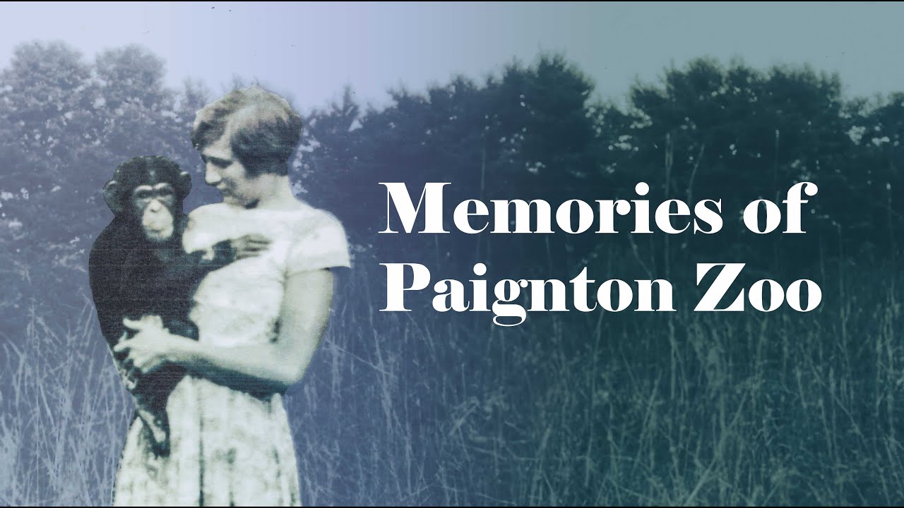 Memories of Paignton Zoo