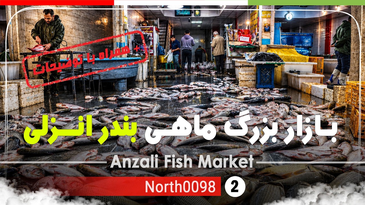 گردش در بازار ماهی بندر انزلی گیلان [4k] شمال ایران - Anzali Fish Market,Gilan, north of Iran