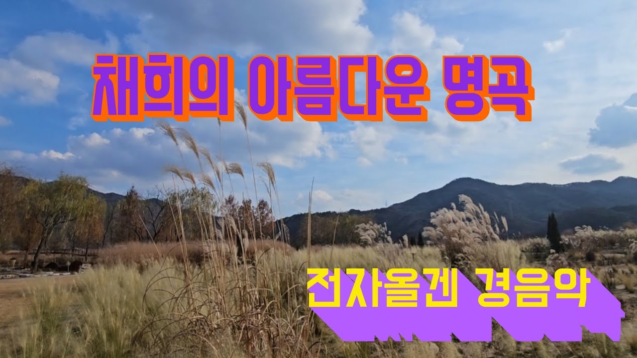 채희🌸🍃 / 멍하니 / 사무치는 그리움 / 꿈같은 사랑 / 바람의 소원 / 사랑인것을 / 전자올겐 경음악