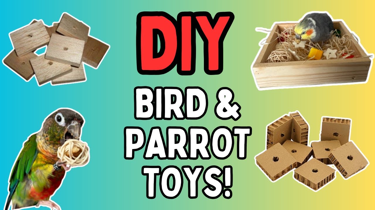 Bird & Parrot DIY Toys - How To Make Your Own Awesome Parrot Toys | TheParrotTeacher AD