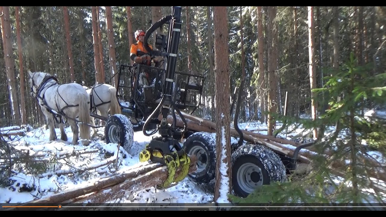 2 HP Percheron + Honda GF 800 + omatekoinen metsäkärry (selfmade forest cart)